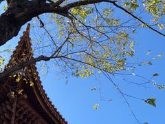 -大理文庙(大理古城)