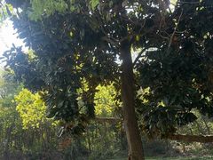 -敬亭山风景名胜区