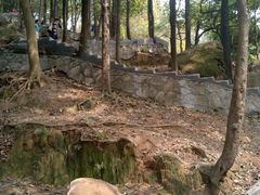 -火炉山森林公园