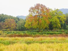 -塔川景区
