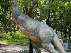 -大望京公园