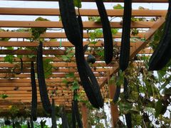 -中国天府农业博览园