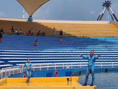 -秦皇岛乐岛海洋王国