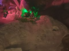 -寻龙山风景旅游区