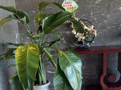 -悦隆庄温泉度假酒店