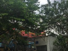 -育星南雅苑幼儿园