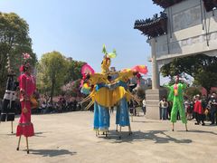-南汇桃花村