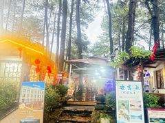 -小小饭店·休闲农庄·安吉松树林里的农家菜