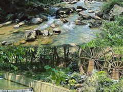 -广州白江湖森林公园
