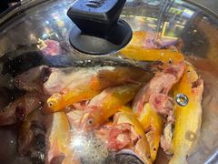 -石锅苗苗鱼(武汉首店)