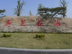 门面-荷兰花海