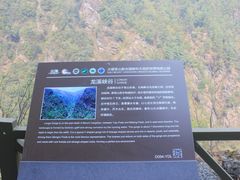 -苍山感通索道