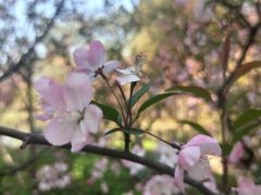 -共青国家森林公园-售票处