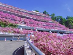 -深圳仙湖植物园