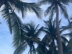 -三亚亚龙湾美高梅度假酒店FUN动冲浪