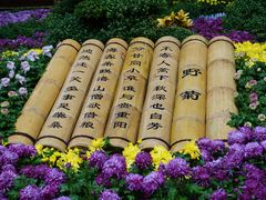 -汇龙潭