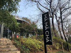 -MAMACHA妈妈茶(岳麓山店)