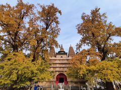 -北京石刻艺术博物馆(五塔寺)