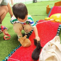 -萌宠亲子动物乐园(槐房万达店)