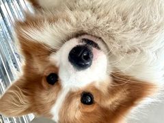 -HALO SOUL COFFEE·咖啡·甜品·简餐(嘉年华海信广场店)