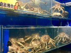 -蚝专家(北滘店)