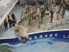 -中国地质大学逸夫博物馆