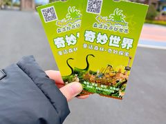 -森波拉奇妙世界