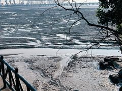 -平湖九龙山旅游度假区