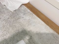 -水牛奶皇后糖水铺