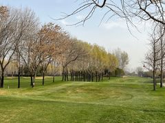 -龙熙温泉高尔夫俱乐部