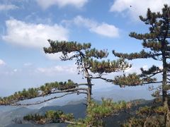 -罗田天堂寨风景区