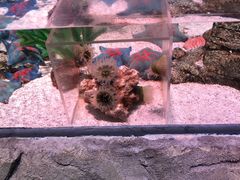 -沈阳海洋探索中心