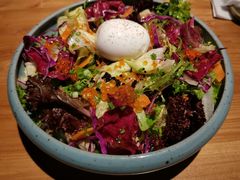 -Hatsune隐泉日式料理(三里屯太古里店)
