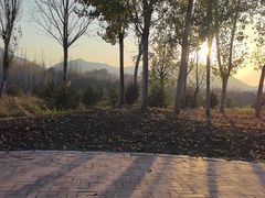 -西部长青自然儿童乐园