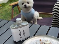 -J Create城市露营咖啡·简餐·宠物(上海动物园店)