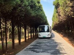 -秦始皇帝陵博物院-丽山园