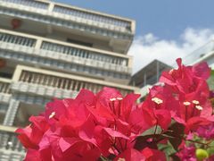 -沙美村