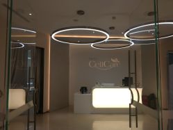 -美丽田园Beauty Farm