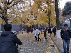 -四川大学(华西校区)