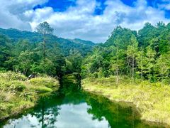 -海南热带雨林国家公园吊罗山景区