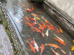 -前童古镇