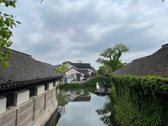 -鲁镇