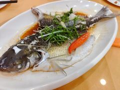 -汇景花园酒家(基立下道店)