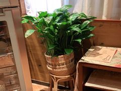 -西贝(六里桥旗舰店)