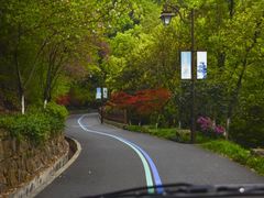 -杭州半山国家森林公园