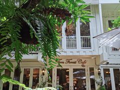 -Fern Forest Cafe