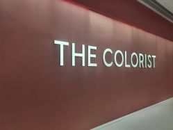 -THE COLORIST调色师