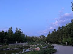 -大望京公园