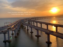 -星海湾跨海大桥