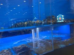 -大头椰·椰子鸡火锅(南宁万象城店)